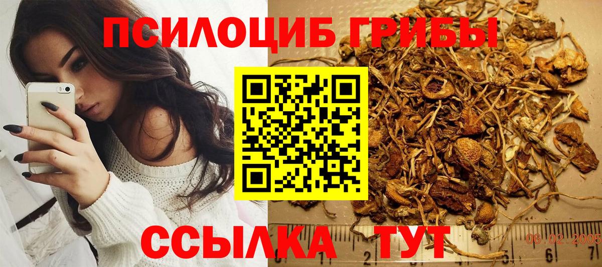 Светлоград  Псилоцибиновые грибы Psilocybine cubensis  Вход с VPN 