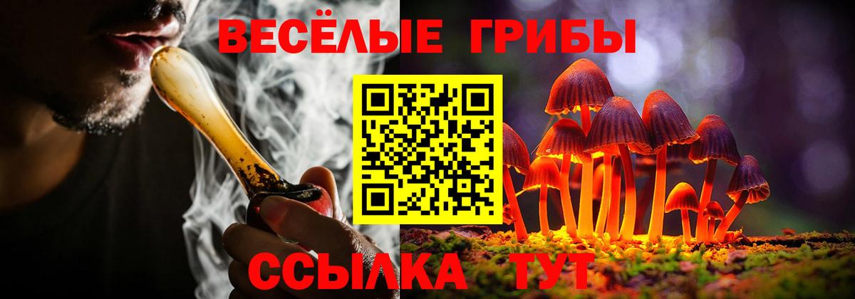 Псилоцибиновые грибы GOLDEN TEACHER Светлоград